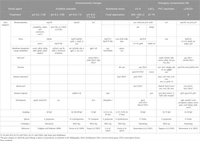 The sea urchin embryo and the cell stress responses: new perspectives